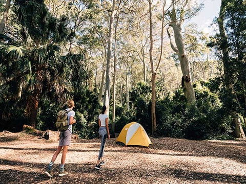 Depot Beach Campground - Accommodation Sunshine Coast 0