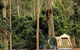Depot Beach Campground - thumb 1