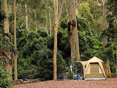 Depot Beach Campground - Accommodation Sunshine Coast 1