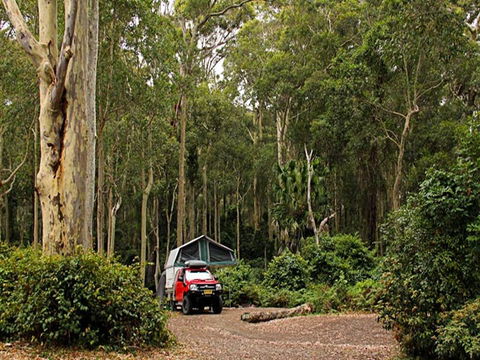 Depot Beach Campground - Accommodation Sunshine Coast 2