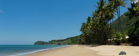 Ellis Beach Bungalows And Leisure Park - Accommodation Sunshine Coast 0