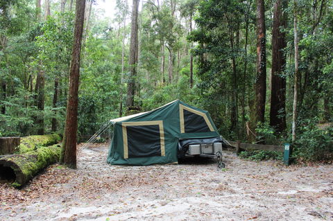 K'gari (Fraser Island) Camping, Great Sandy National Park - Accommodation Sunshine Coast 2