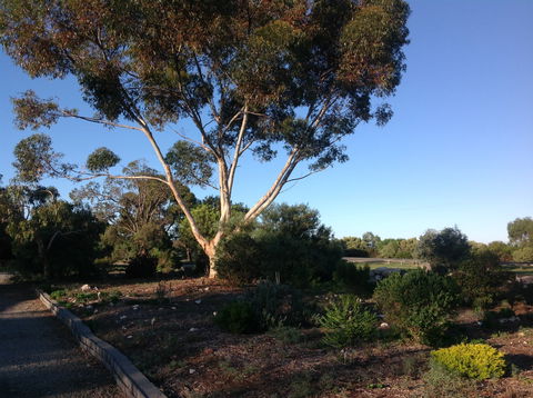 Murray Bridge Motor Inn - Accommodation Sunshine Coast 2