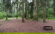 Murphys Glen Campground - thumb 0