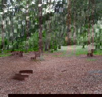 Murphys Glen campground - Accommodation Sunshine Coast