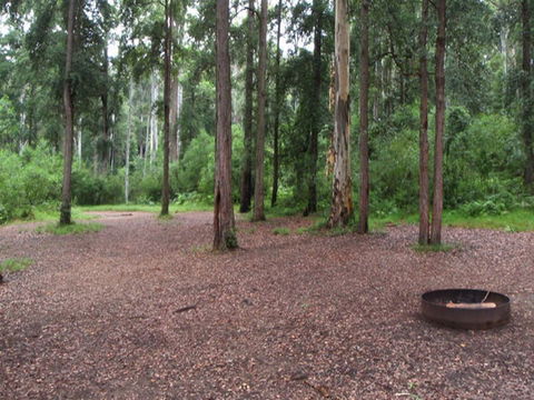 Murphys Glen Campground - Accommodation Sunshine Coast 0