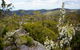 Murphys Glen Campground - thumb 1