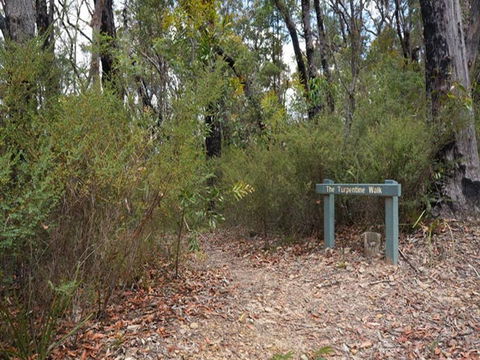 Murphys Glen Campground - Accommodation Sunshine Coast 2
