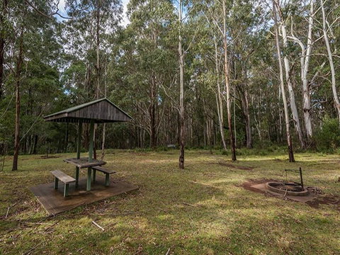 Nunnock Campground - Accommodation Sunshine Coast 1