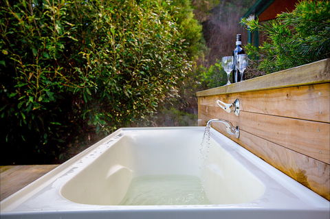 Partridge Farm - Accommodation Sunshine Coast 0