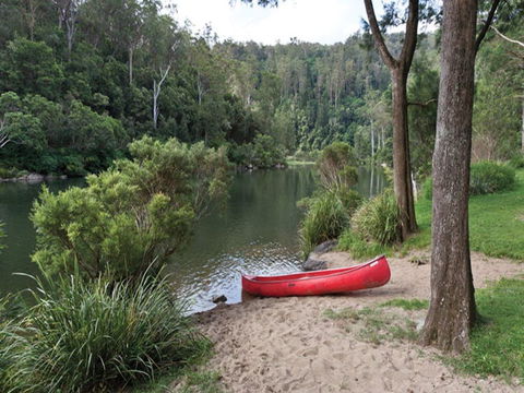 Platypus Flat Campground - Accommodation Sunshine Coast 0
