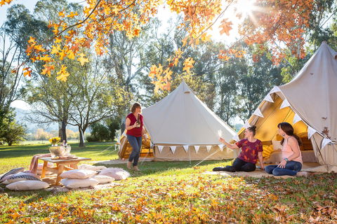 Valley View Glamping - Accommodation Sunshine Coast 0