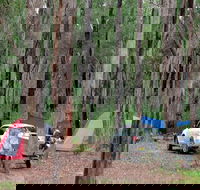 Wallingat River campground - Accommodation Sunshine Coast