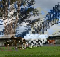 Woodenbong B and B - Accommodation Sunshine Coast