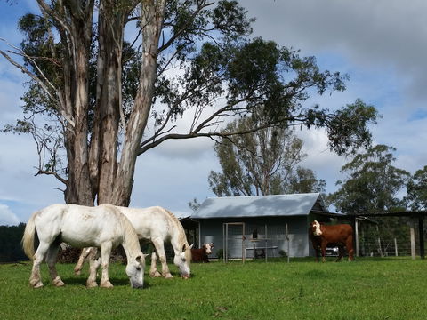 Woodenbong B And B - Accommodation Sunshine Coast 0
