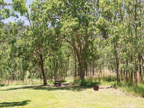 Youdales Hut Campground And Picnic Area - Accommodation Sunshine Coast 0