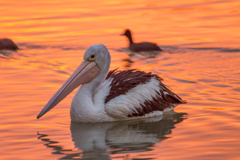 4 Pelican Court - River Shack Rentals - Accommodation Sunshine Coast 0