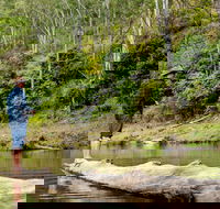 Bass Lodge - Accommodation Sunshine Coast