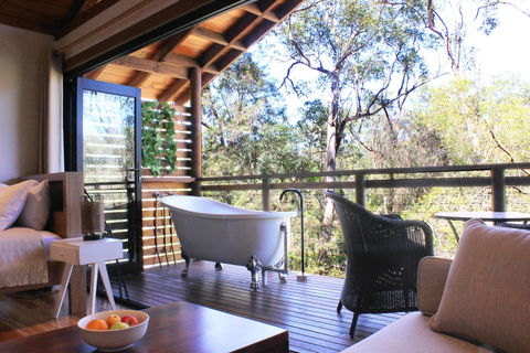 Billabong Retreat - Accommodation Sunshine Coast 1