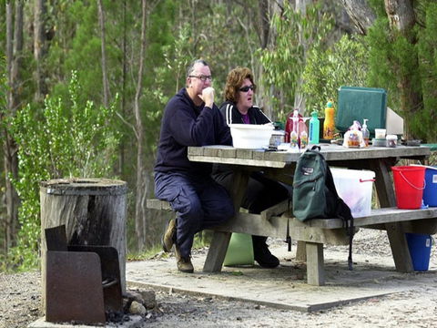 Cypress-pine Campground - Accommodation Sunshine Coast 0