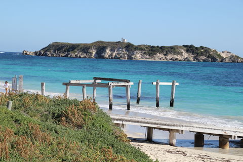 Hamelin Bay Holiday Park - Accommodation Sunshine Coast 0