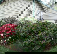Jenolan Caravan Park - Accommodation Sunshine Coast