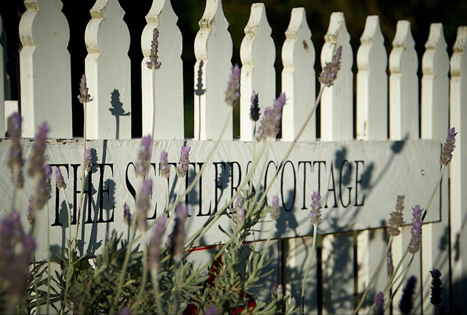 Byng NSW Accommodation Sunshine Coast