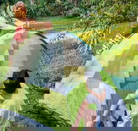 Rivermouth campground - Accommodation Sunshine Coast