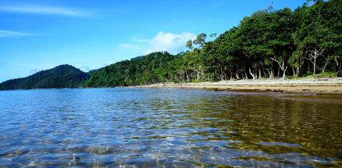Sanctuary Retreat - Accommodation Sunshine Coast 2