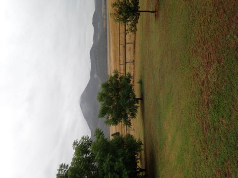 The Old Dairy At Baerami - Accommodation Sunshine Coast 2