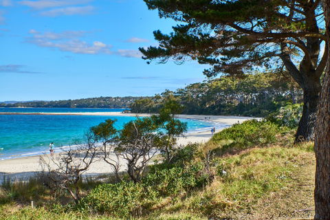 The Beach Jervis Bay - Accommodation Sunshine Coast 1