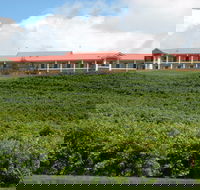 Turners Vineyard Motel - Accommodation Sunshine Coast
