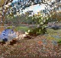 Woolpress Bend campground - Accommodation Sunshine Coast