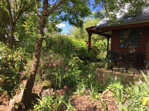 Artscape Cottage Beechworth - Accommodation Sunshine Coast 2