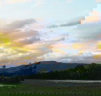 Back Forest Retreat - Accommodation Sunshine Coast