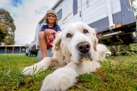 BIG4 St Helens Holiday Park - Accommodation Sunshine Coast 2