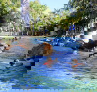 Big4 Aussie Outback Oasis Holiday Park - Accommodation Sunshine Coast