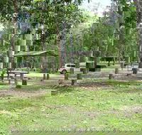 Broadwater camping area Abergowrie State Forest - Accommodation Sunshine Coast