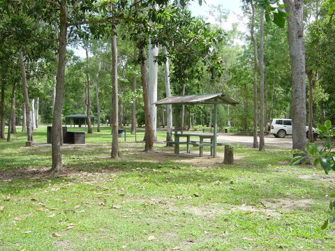 Broadwater Camping Area, Abergowrie State Forest - Accommodation Sunshine Coast 0