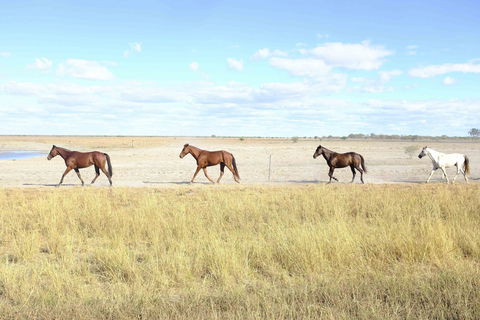 Charlotte Plains - Accommodation Sunshine Coast 2