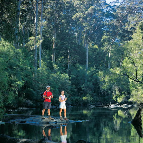 Drafty's Camp At Warren National Park - Accommodation Sunshine Coast 0