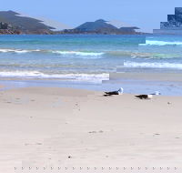 Eagles Rise Tasmania - Accommodation Sunshine Coast