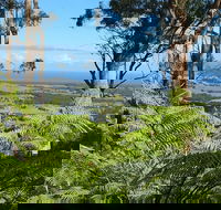 Escarpment - Accommodation Sunshine Coast