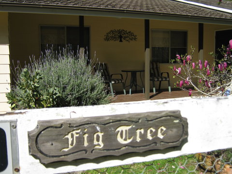 Figtree Cottage - Accommodation Sunshine Coast 0