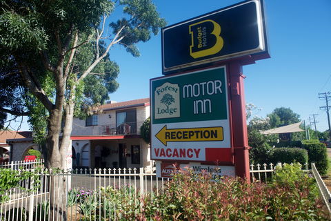 Forest Lodge Motor Inn And Restaurant - Accommodation Sunshine Coast 0