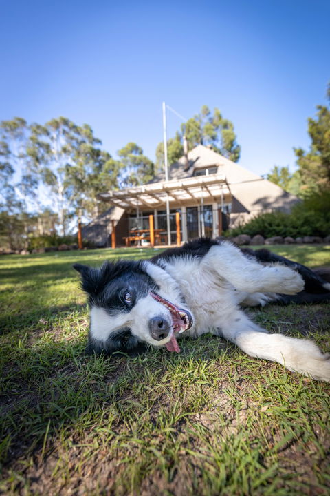 Grampians Getaway - Accommodation Sunshine Coast 0