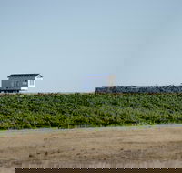 Hounds Run Vineyard - Accommodation Sunshine Coast