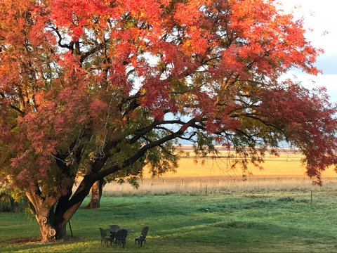 Little Kickabell Country Homestead - Accommodation Sunshine Coast 0