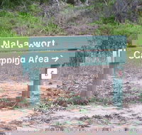 Nal-a-wort Campground - Canunda National Park - Accommodation Sunshine Coast