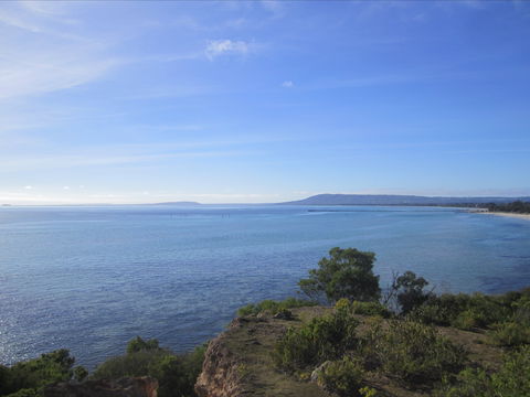 Plantation House At Whitecliffs - Accommodation Sunshine Coast 1